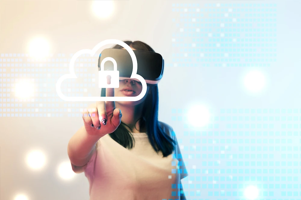 Internetprivacy dame